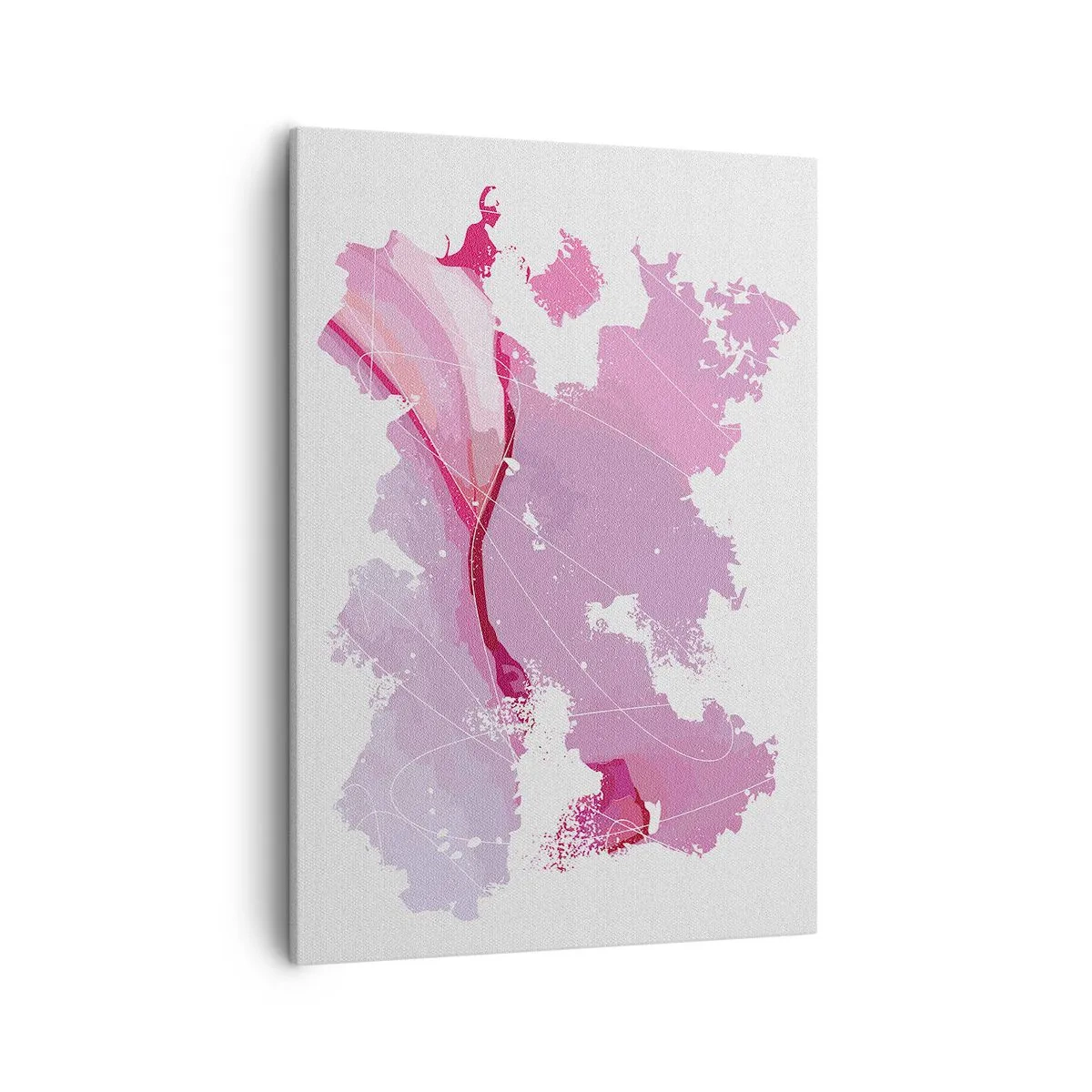 Obraz na plátně - Mapa růžového světa - 50x70 cm