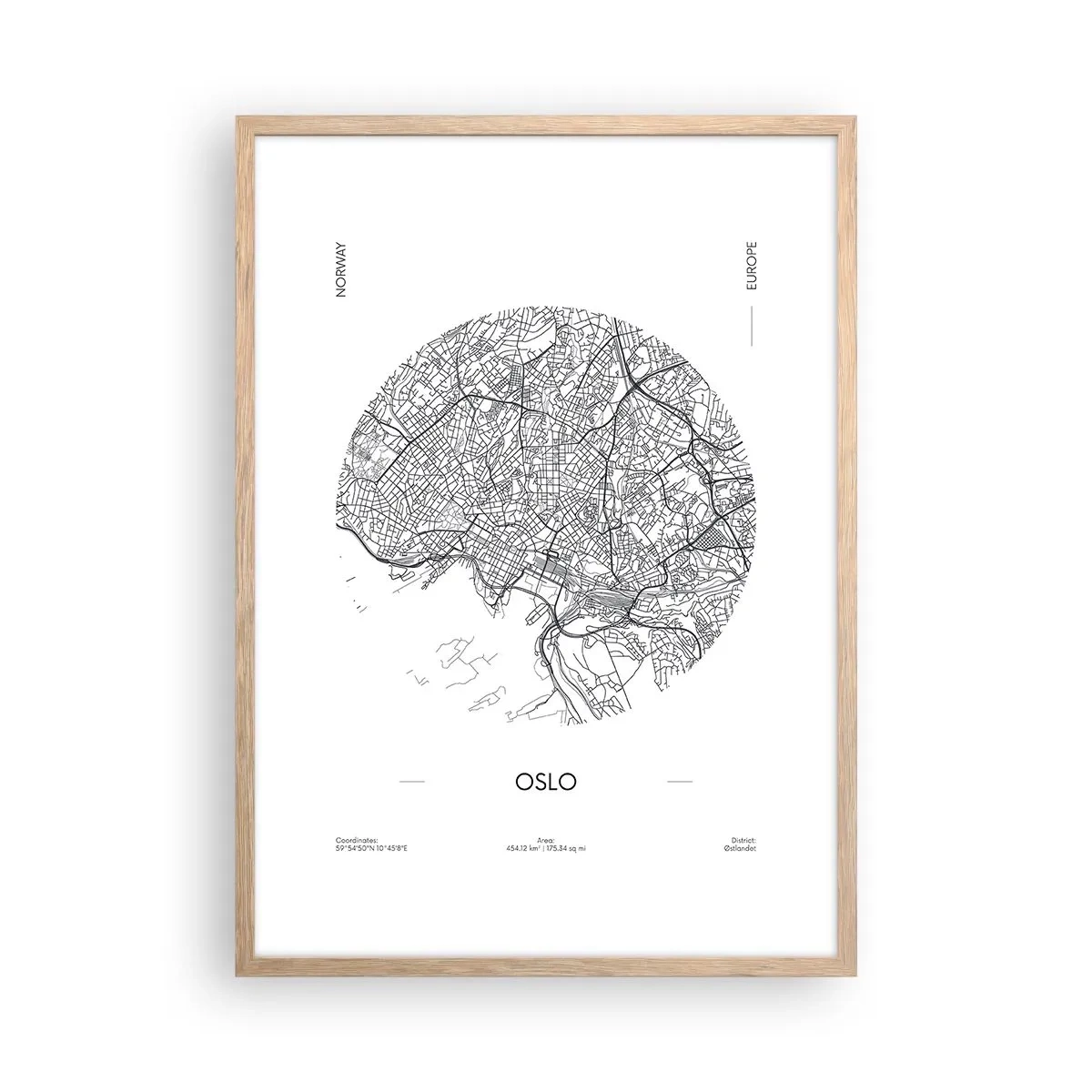 Plakát v rámu světlý dub - Anatomie Osla - 50x70 cm