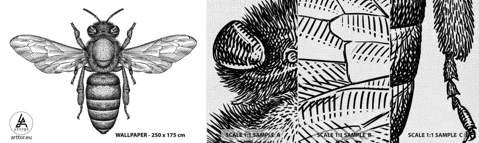 Vzor Fototapety Premium Canvas - Hmyzí portrét - Včela, Hmyz, Minimalistický - 100x30 cm