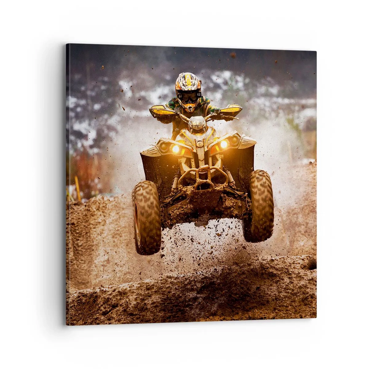 Obraz na plátně - No risk no fun - 70x70 cm