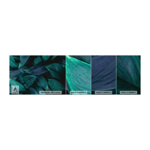Vzor Fototapety Samolepicí Deluxe Sticker - Zeleň sama o sobě - Listy, Příroda, Botanika - 100x30 cm