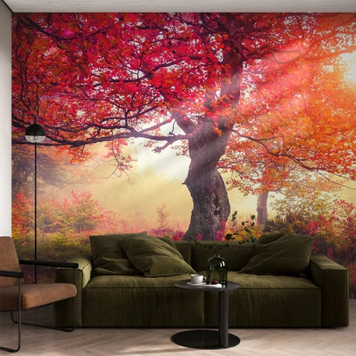 Fototapeta Premium Canvas - Šílenství rozkvětu - Krajina, Park, Květiny - 200x140 cm
