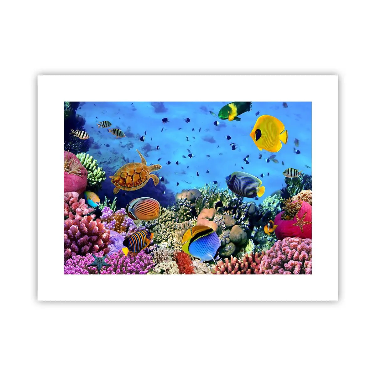 Plakát - Co víme o životě… - 40x30 cm