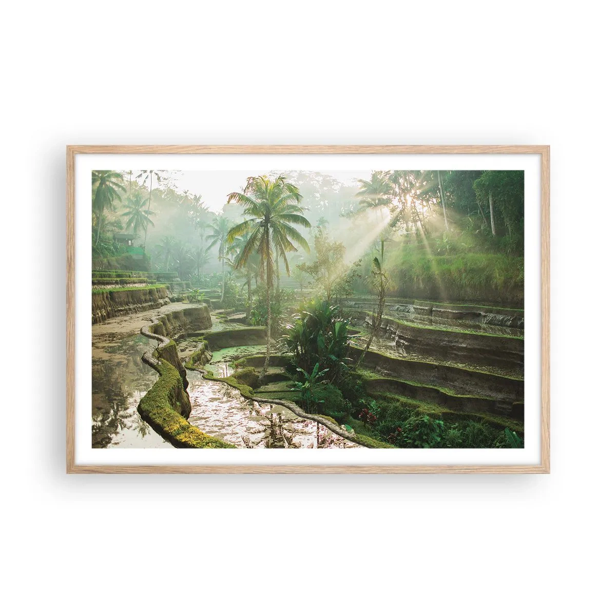 Plakát v rámu světlý dub - Vyrůstát na slunci - 91x61 cm