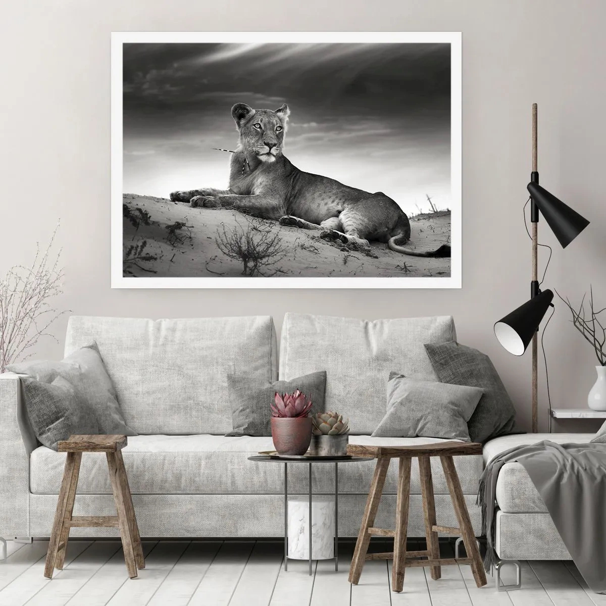 Plakát - Odpočinek královny pouště - 70x50 cm