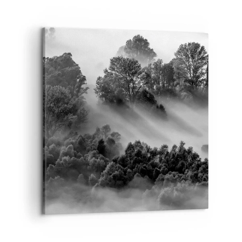 Obraz na plátně - Probouzení ze spánku - 60x60 cm