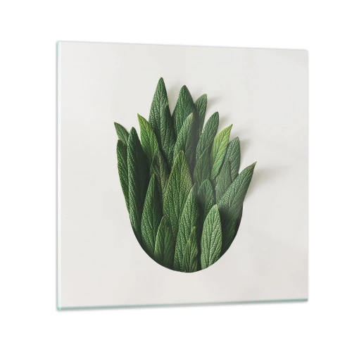 Obraz na skle - Neukojitelná zvědavost - 60x60 cm