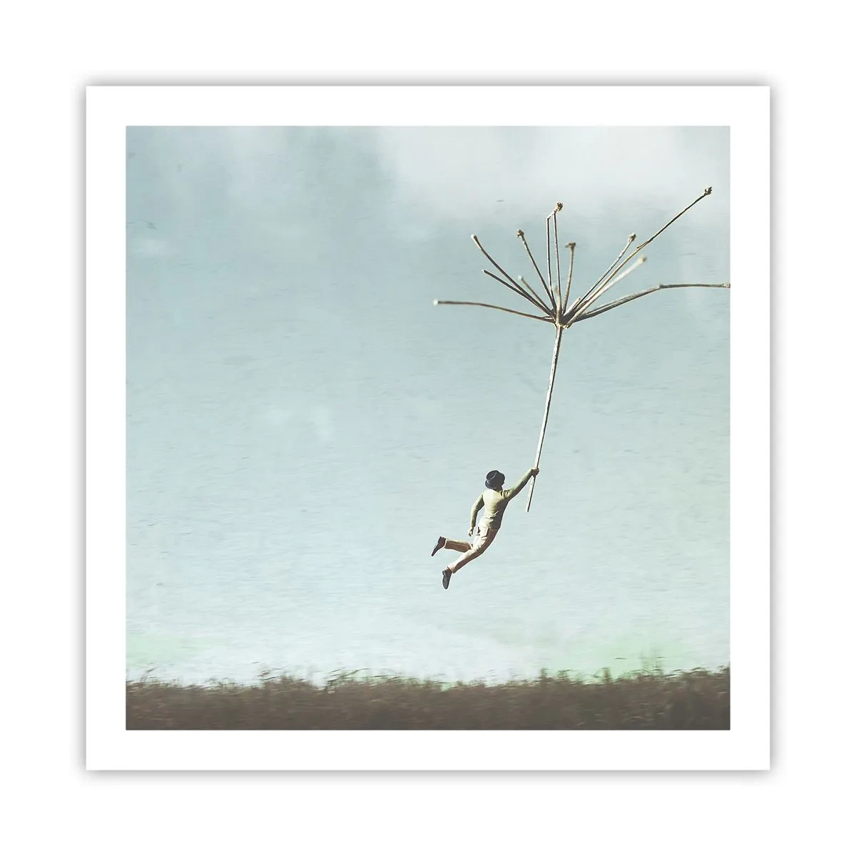 Plakát - Letající pampeliška - 60x60 cm