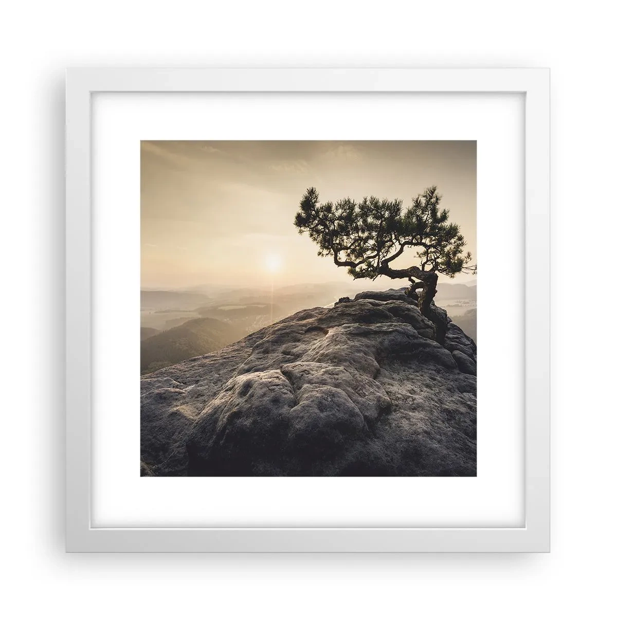 Plakát v bílém rámu - Život vždy vítězí - 30x30 cm