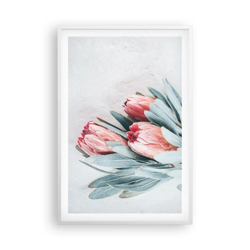 Plakát v bílém rámu - Zahanbené svou vlastní krásou - 61x91 cm
