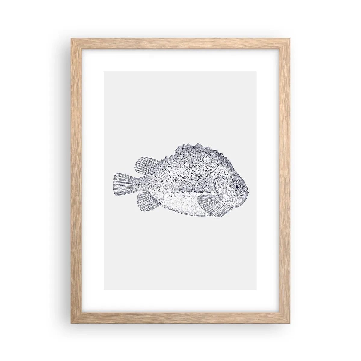 Plakát v rámu světlý dub - Do alba přírodovědce - 30x40 cm