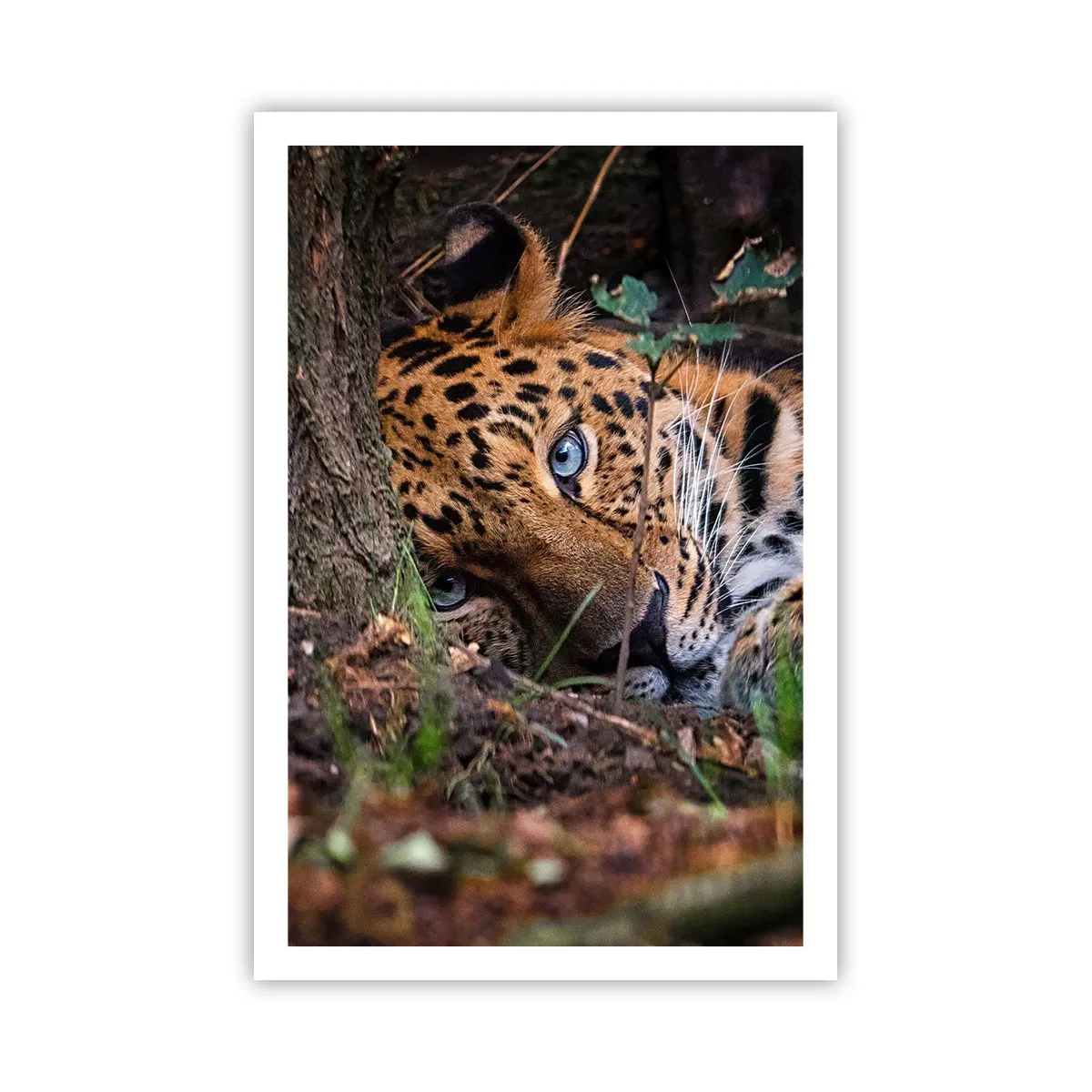 Plakát - Věř mi - 61x91 cm