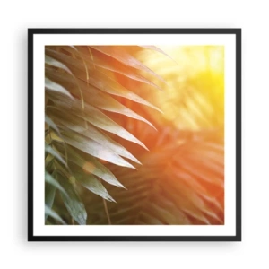 Plakát v černém rámu - Ráno v džungli - 60x60 cm