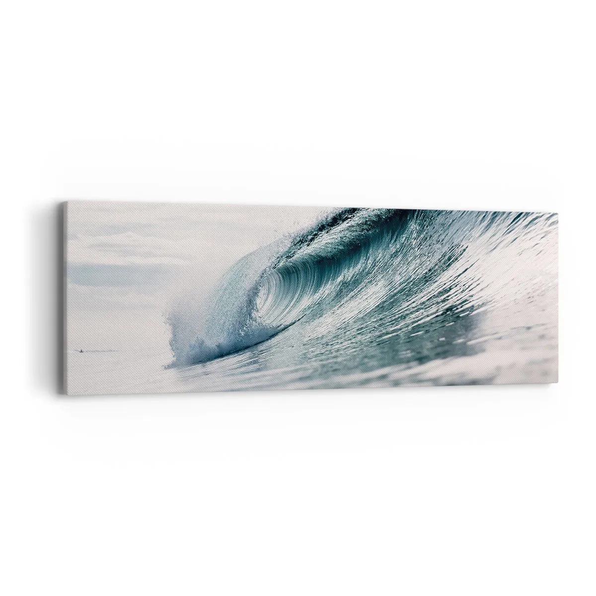 Obraz na plátně - Vodní špička - 90x30 cm