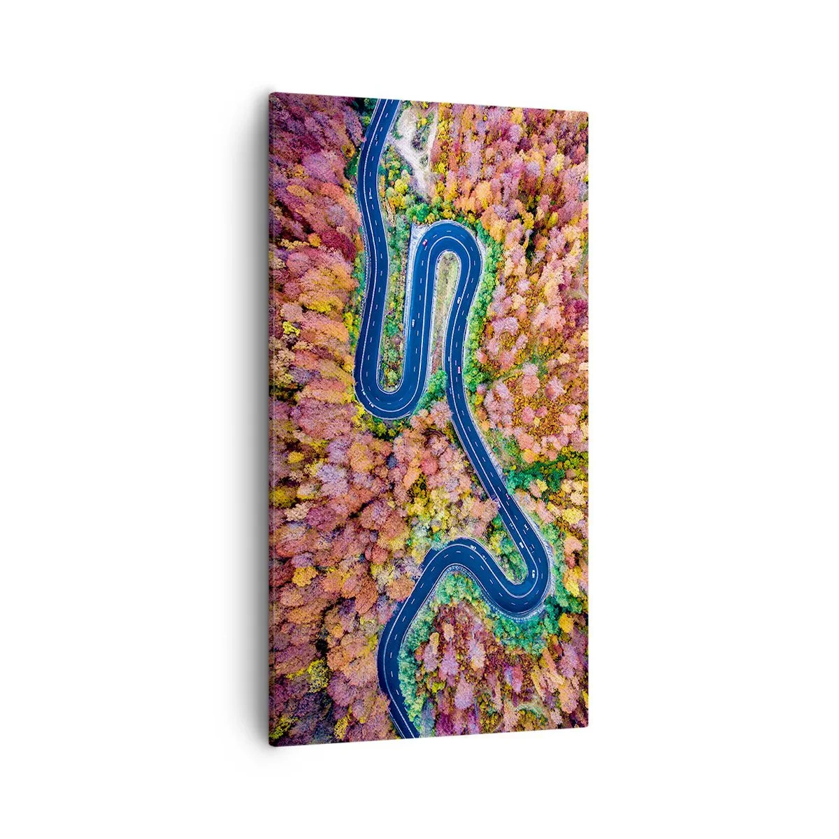 Obraz na plátně - Klikatá cesta lesem - 55x100 cm