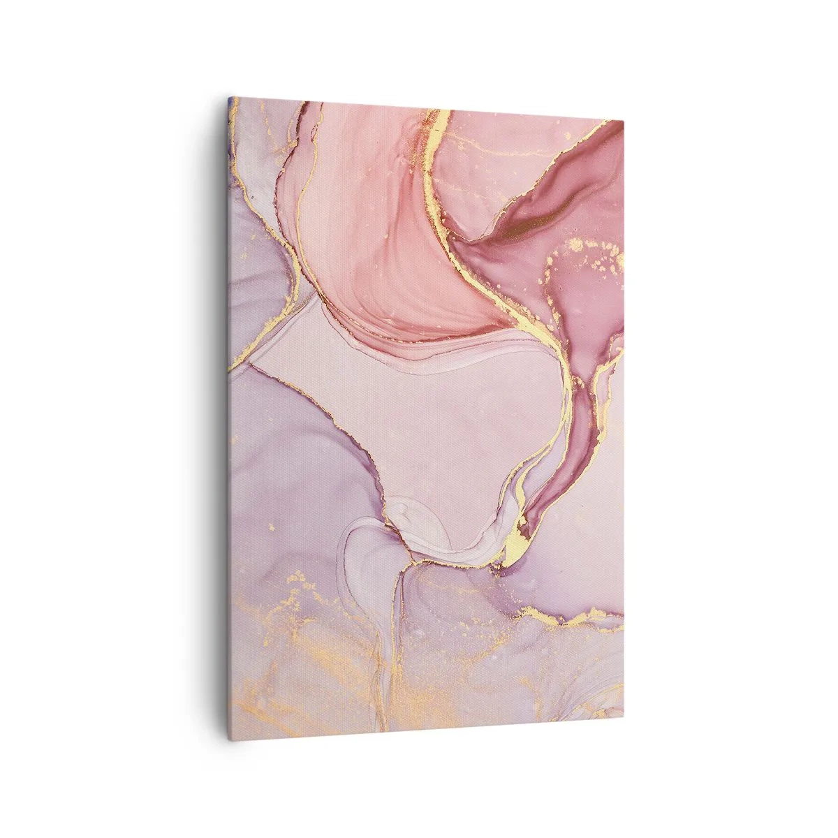 Obraz na plátně - Mazlení barev - 70x100 cm