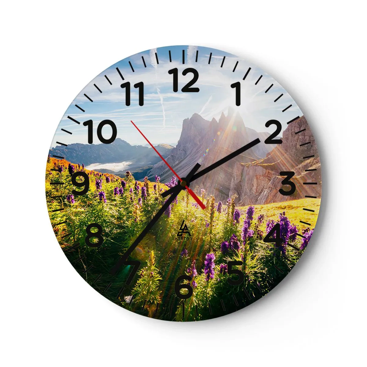 Nástěnné hodiny - Tajemný život bylin - 30x30 cm