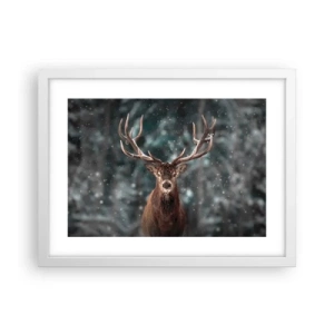Plakát v bílém rámu - Skutečný král lesa - 40x30 cm