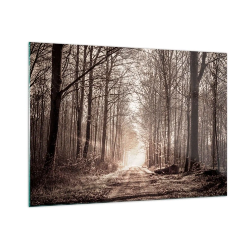 Obraz na skle - Lesní katedrála - 100x70 cm