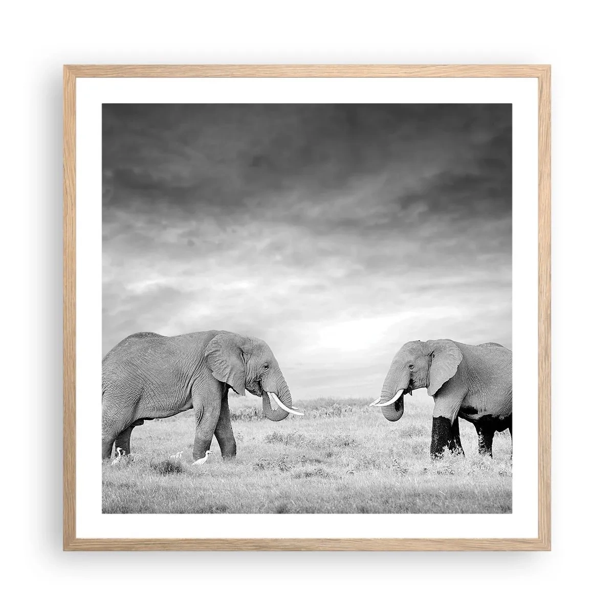 Plakát v rámu světlý dub - Šedá je krásná - 60x60 cm