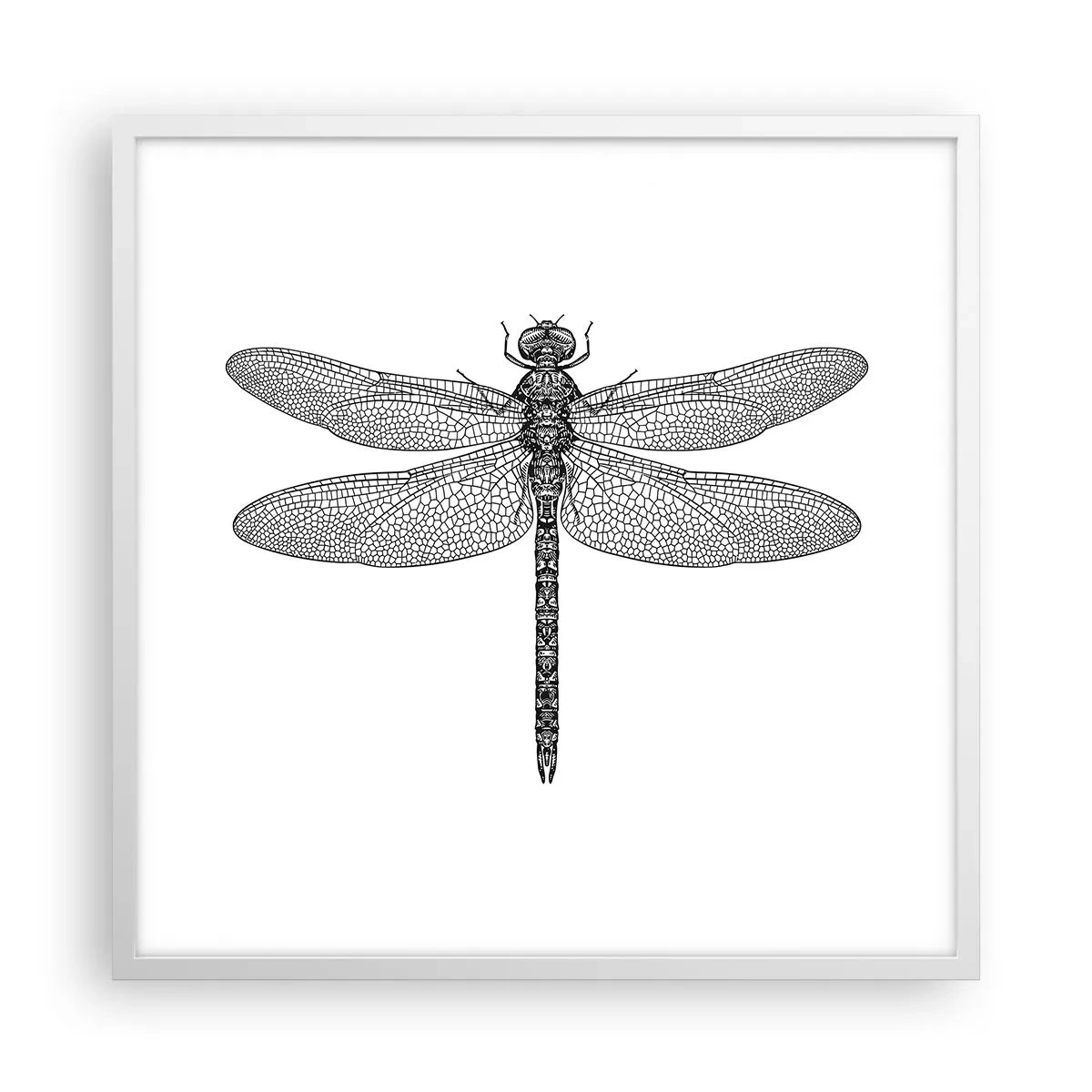 Plakát v bílém rámu - Přesnost přírody - 60x60 cm