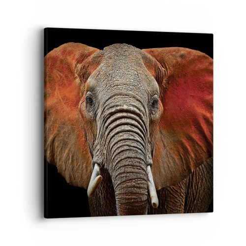 Obraz na plátně - Jsem divoký, a ty? - 40x40 cm