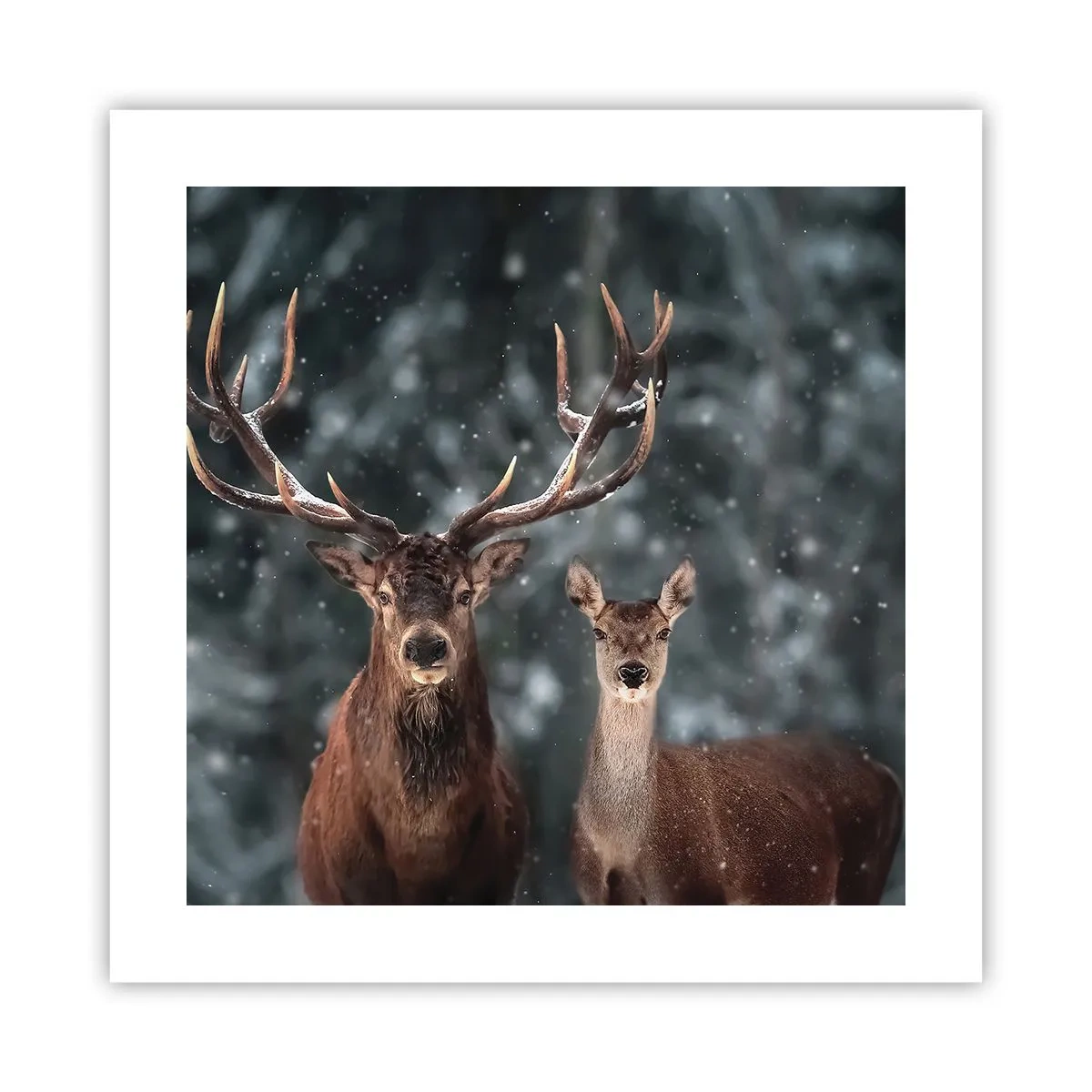 Plakát - Pán lesa se svou ženou - 40x40 cm