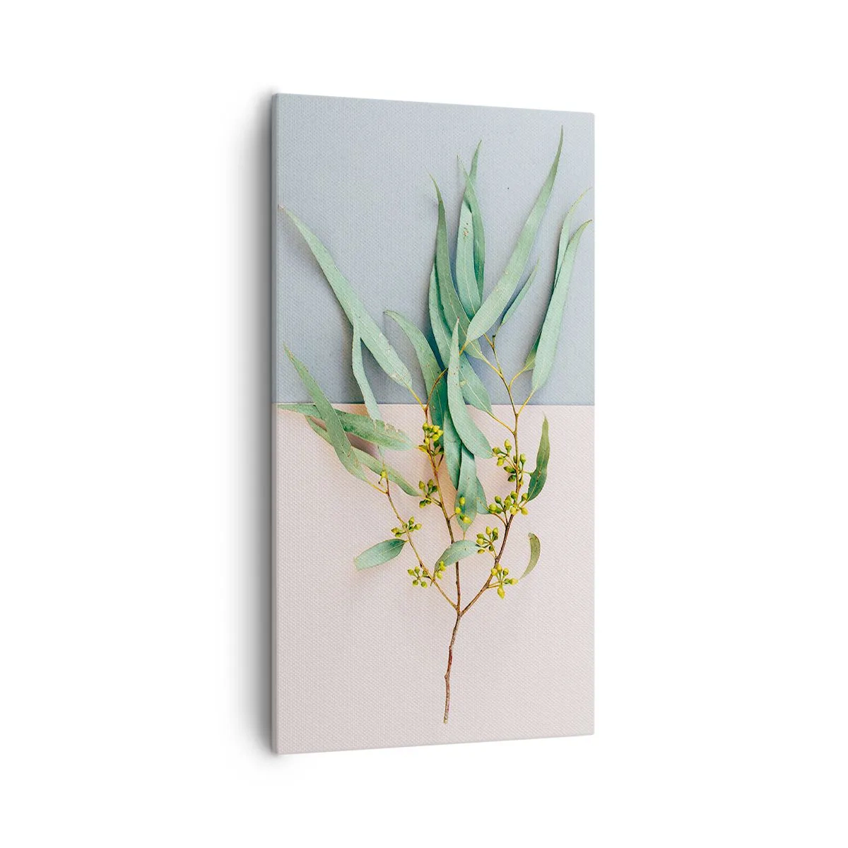 Obraz na plátně - Pastelová jemnost - 55x100 cm