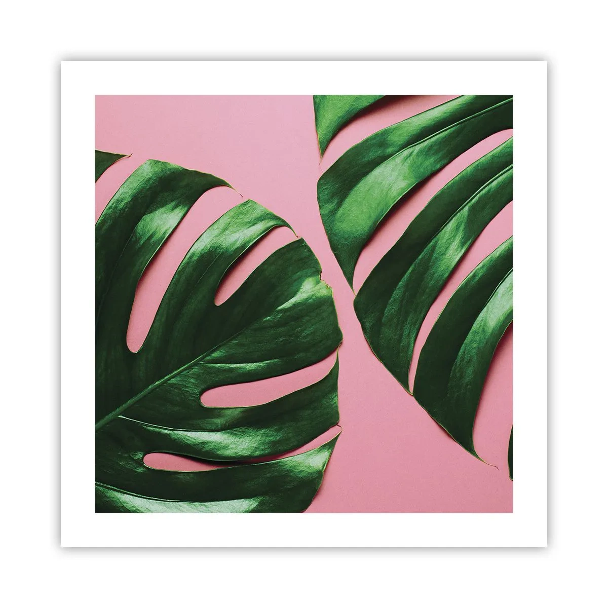 Plakát - Zelené rendez-vous - 50x50 cm