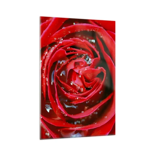 Obraz na skle - V kapkách rosy - 80x120 cm