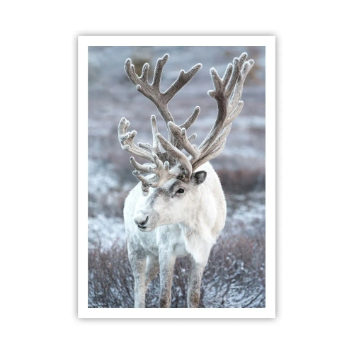 Plakát - Sluneční portrét - 70x100 cm