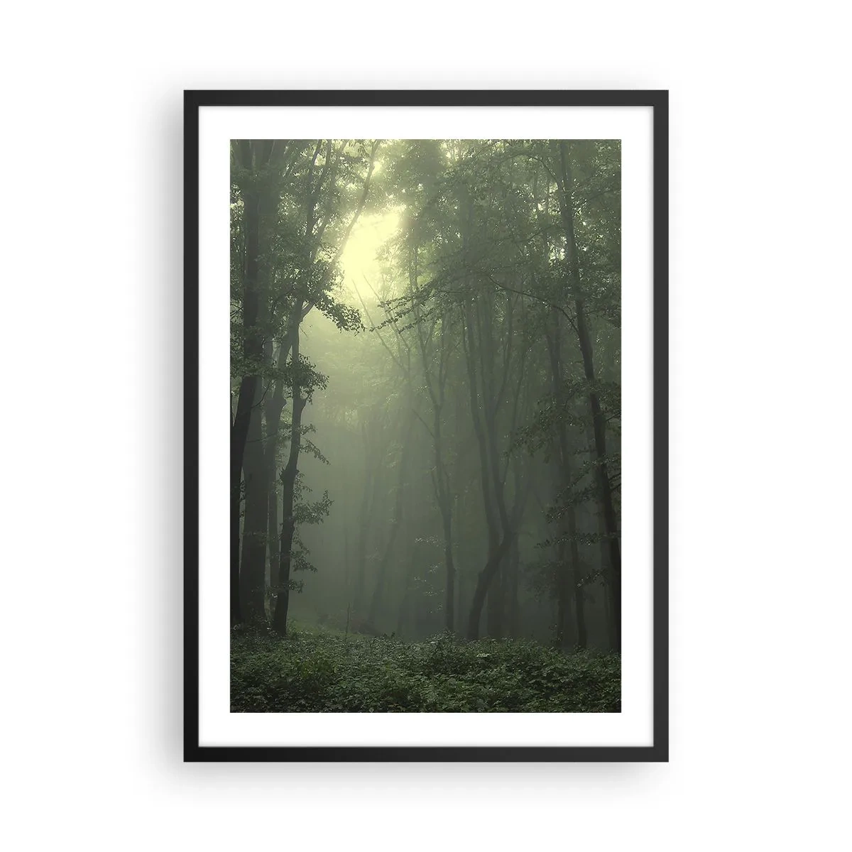 Plakát v černém rámu - Mlžné stromy v zeleném lese - 50x70cm - Než se probudí - Moderní nástěnná dekorace do obývacího pokoje a ložnice ARTTOR