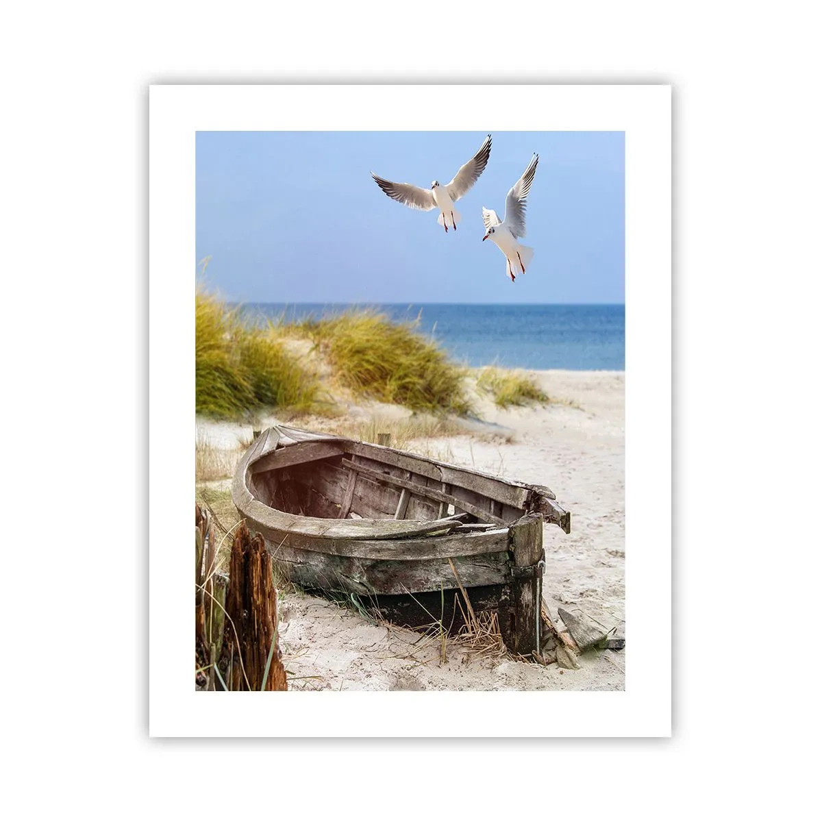 Plakát - Větrem ozářené - 40x50 cm