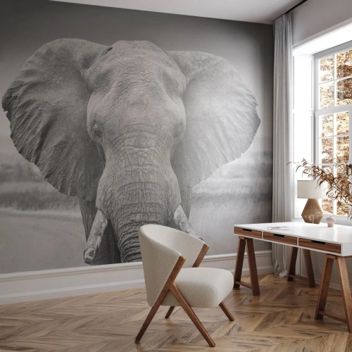 Fototapeta Samolepicí Deluxe Sticker - Vítejte v mém světě - Slon, Afrika, Zvířata - 100x70 cm