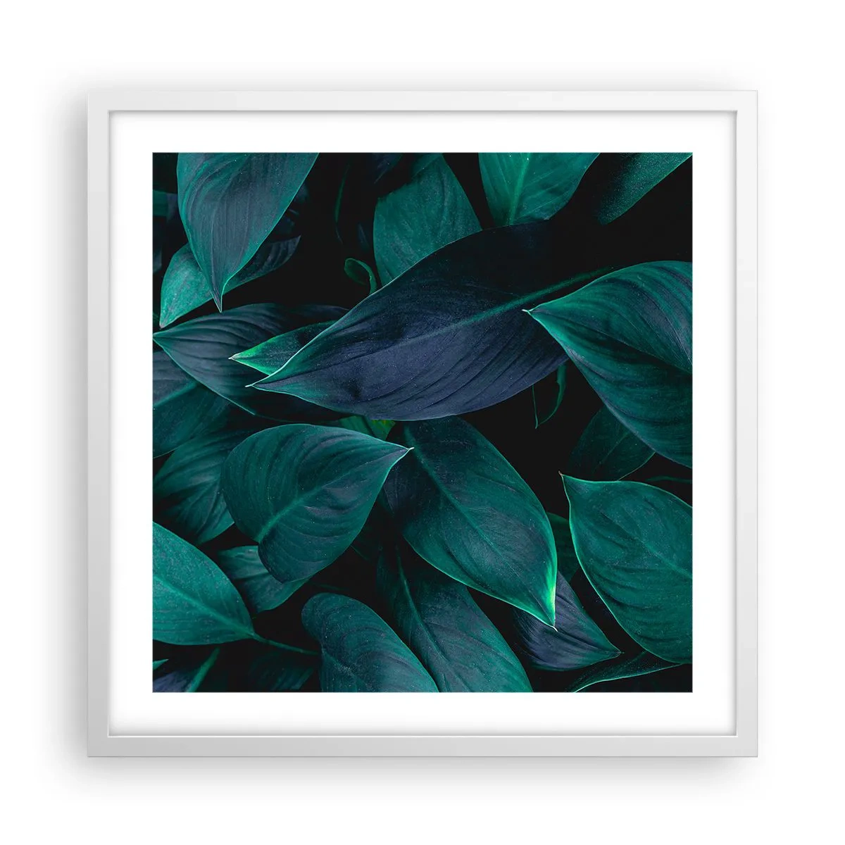 Plakát v bílém rámu - Zeleň sama o sobě - 50x50 cm