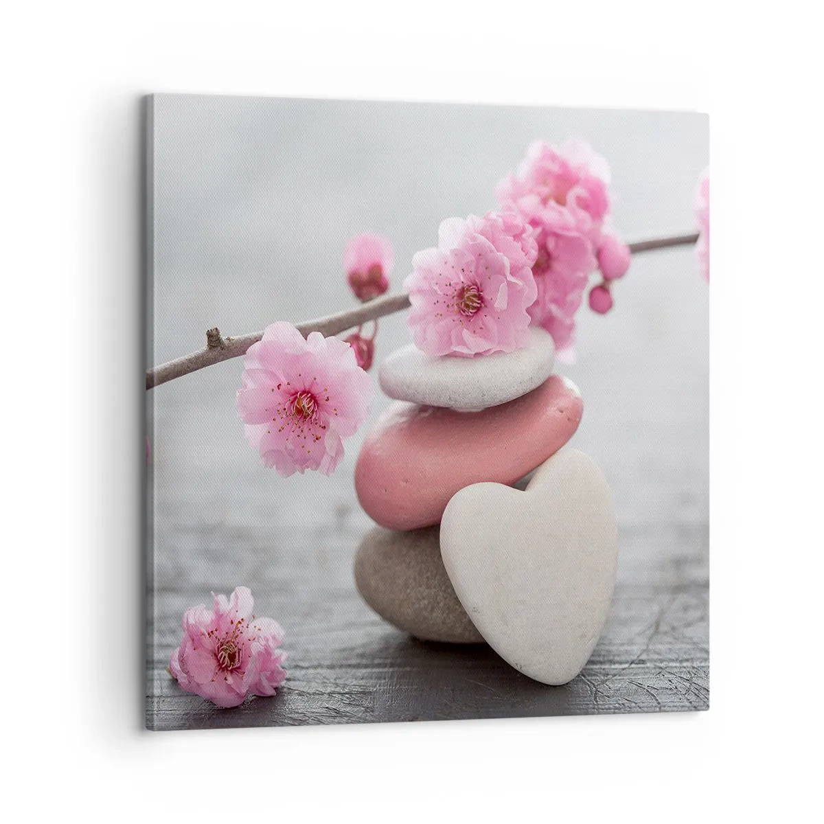 Obraz na plátně - Blaženost s višňovým květem - 60x60 cm