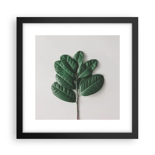 Plakát v černém rámu - Kresba samotné přírody - 30x30 cm