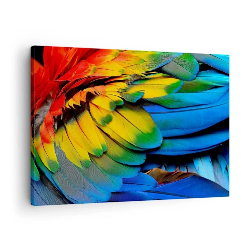 Obraz na plátně - Detailní záběr na barevné peří papouška - 70x50cm - Nebeský pták - Moderní nástěnná dekorace do obývacího pokoje a ložnice ARTTOR