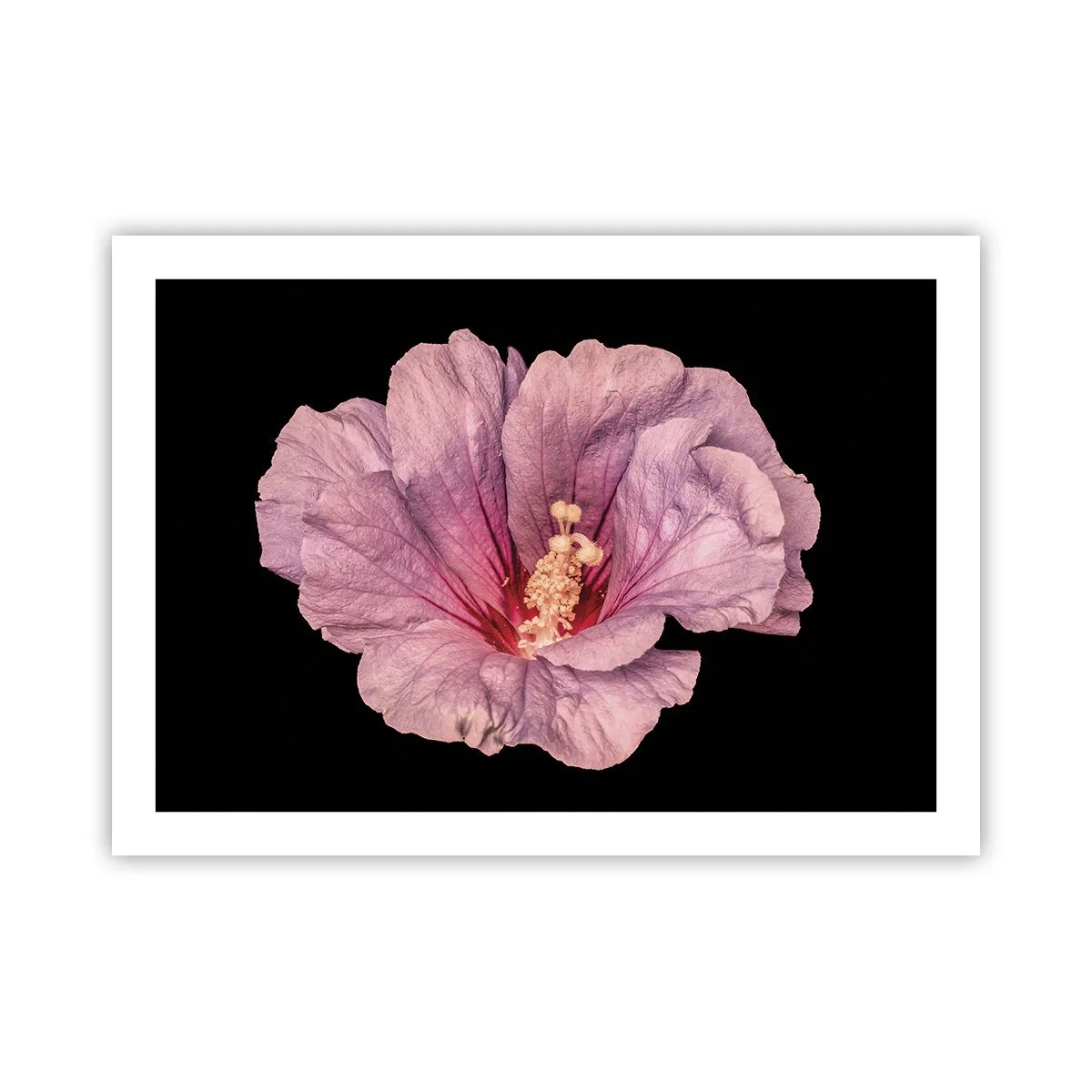 Plakát - Přímo do srdce - 70x50 cm