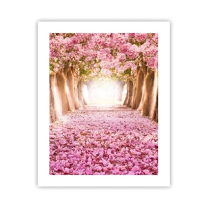 Plakát - Cesta do ráje - 40x50 cm