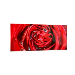 Obraz na skle - V kapkách rosy - 120x50 cm
