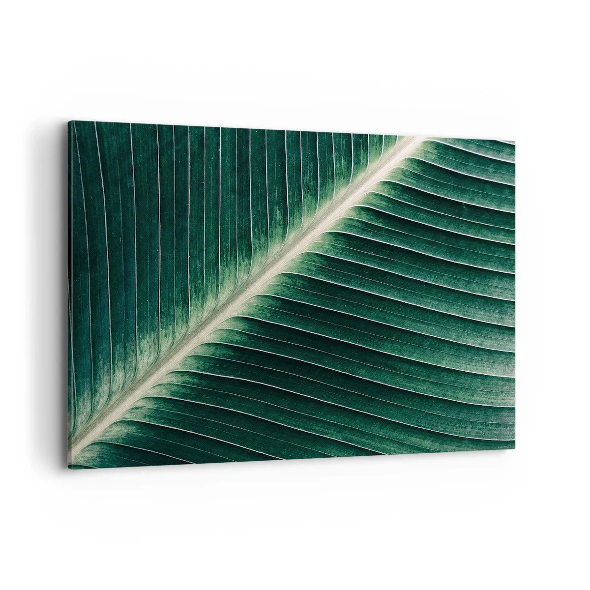 Obraz na plátně - Rytmus přírody - 100x70 cm