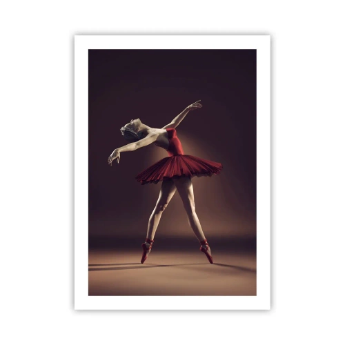 Plakát - Prima balerína - 50x70 cm