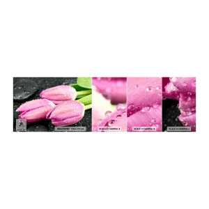 Vzor Fototapety Samolepicí Deluxe Sticker - Liliová trojice na černém kameni - Květiny, tulipány, Kytice květin - 100x30 cm