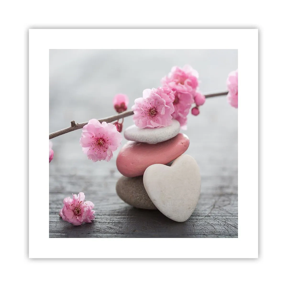 Plakát - Blaženost s višňovým květem - 40x40 cm