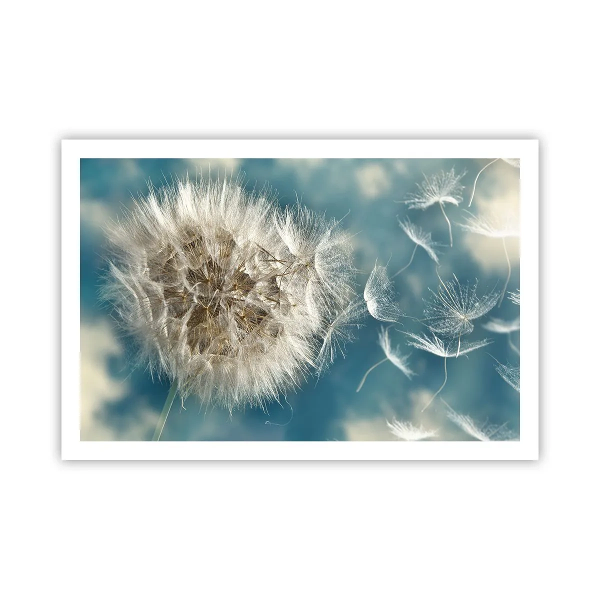 Plakát - Dech anděla - 91x61 cm