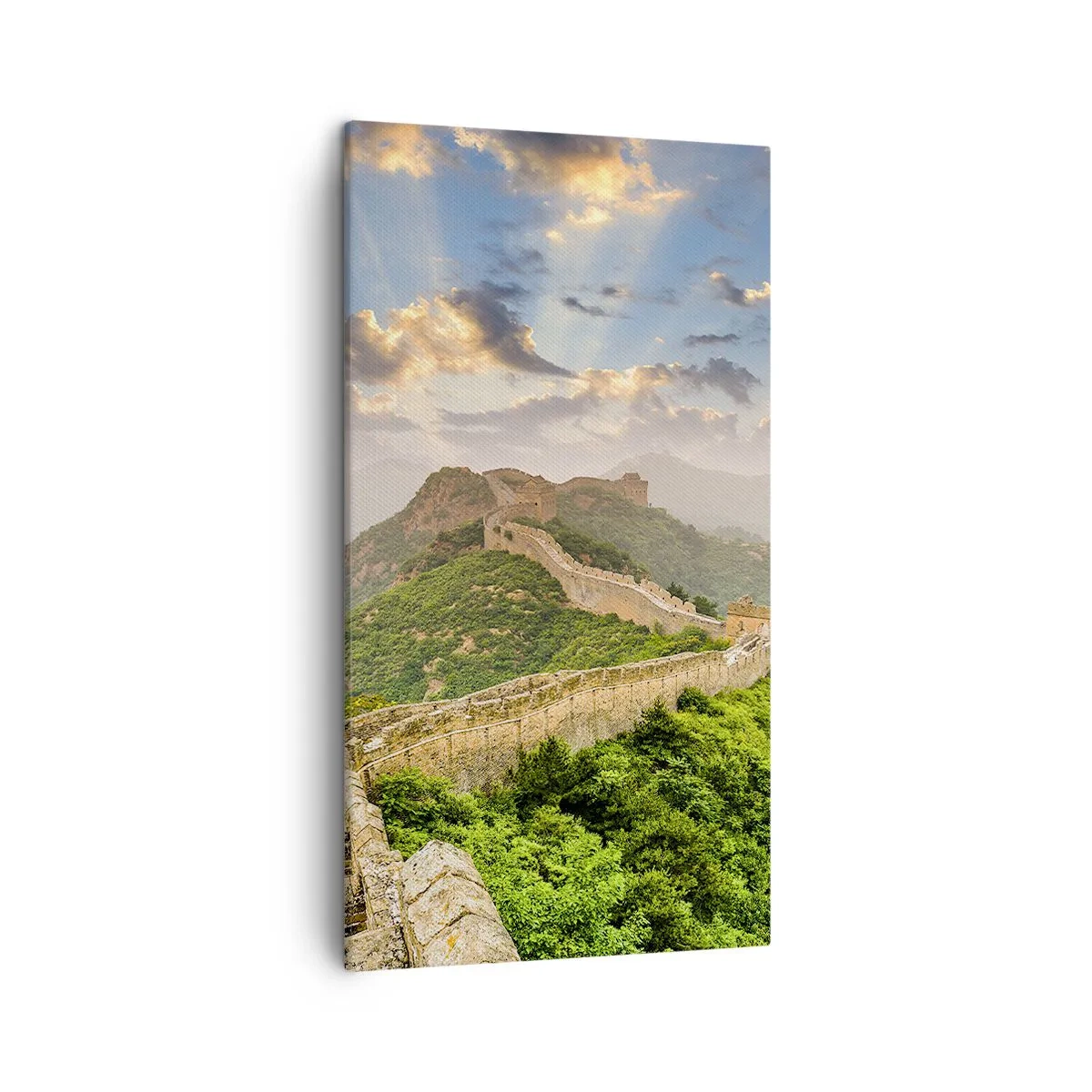 Obraz na plátně - Nepomíjející velikost - 45x80 cm