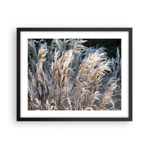 Plakát v černém rámu - Mrazem pokryté - 50x40 cm