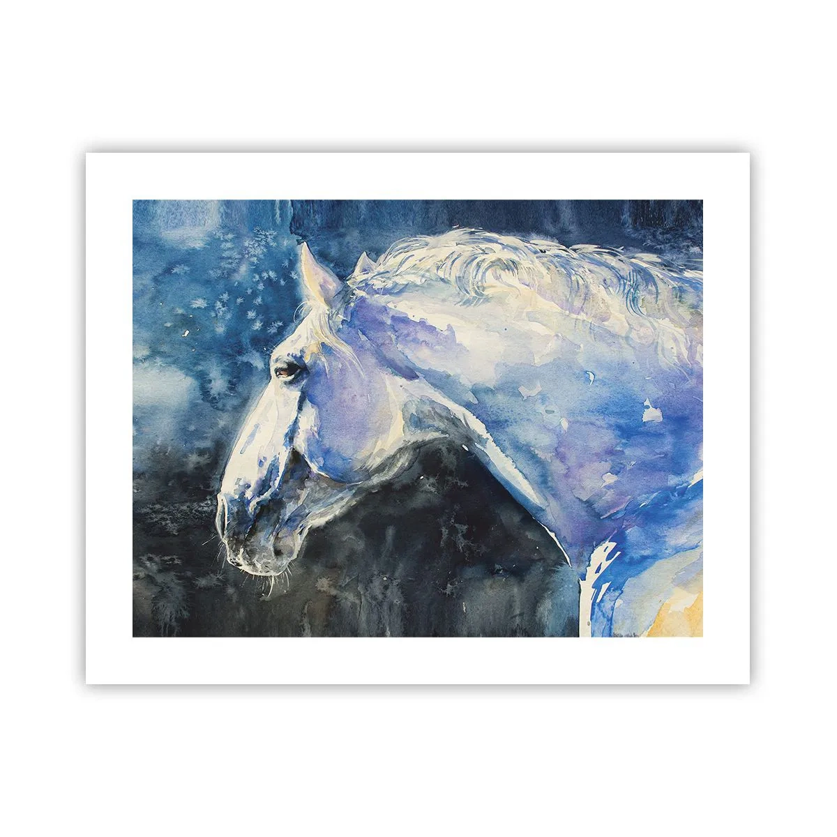 Plakát - Portrét v modré záři - 50x40 cm