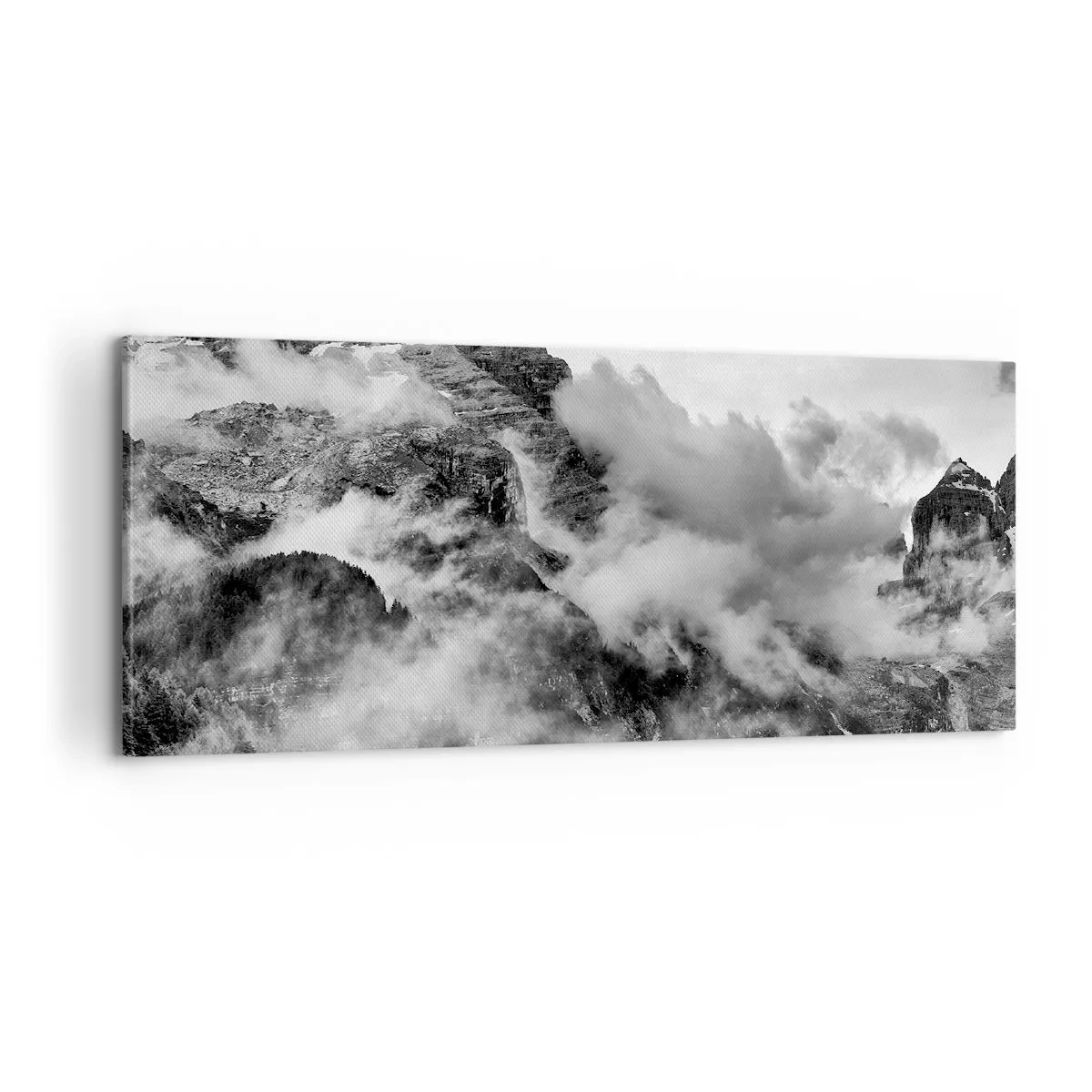 Obraz na plátně - Krásné a kruté - 100x40 cm